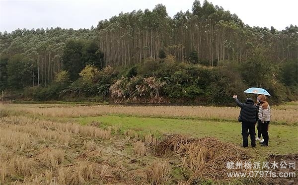 上饶市陈老师带着爱徒寻龙点穴