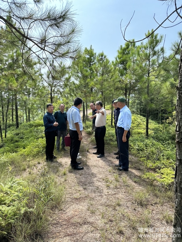 上饶市学杨公风水跟陈荣昌老师实在